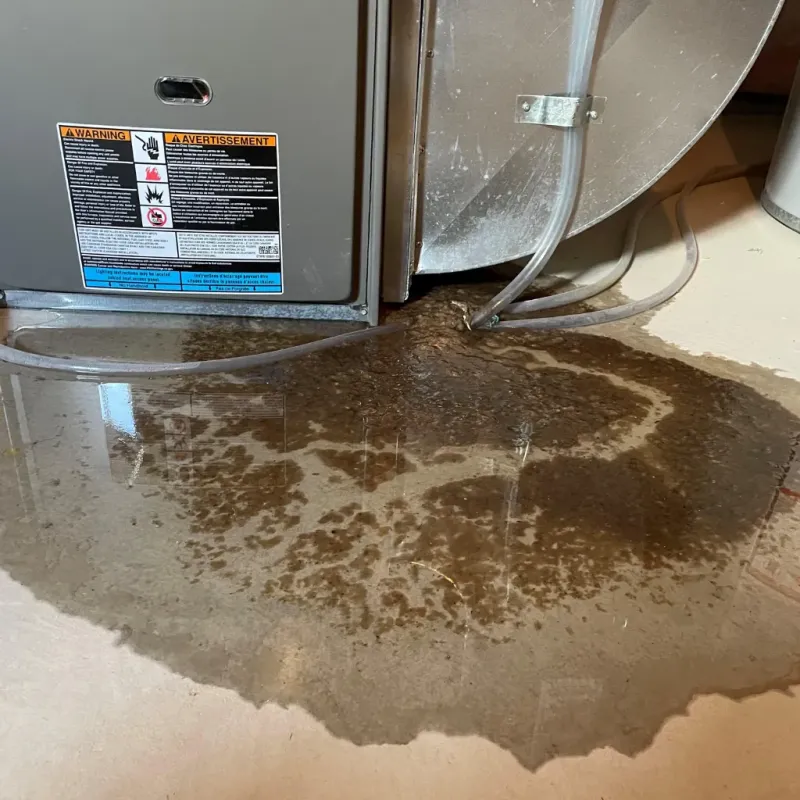 Appliance Leak Cleanup in Limington, ME